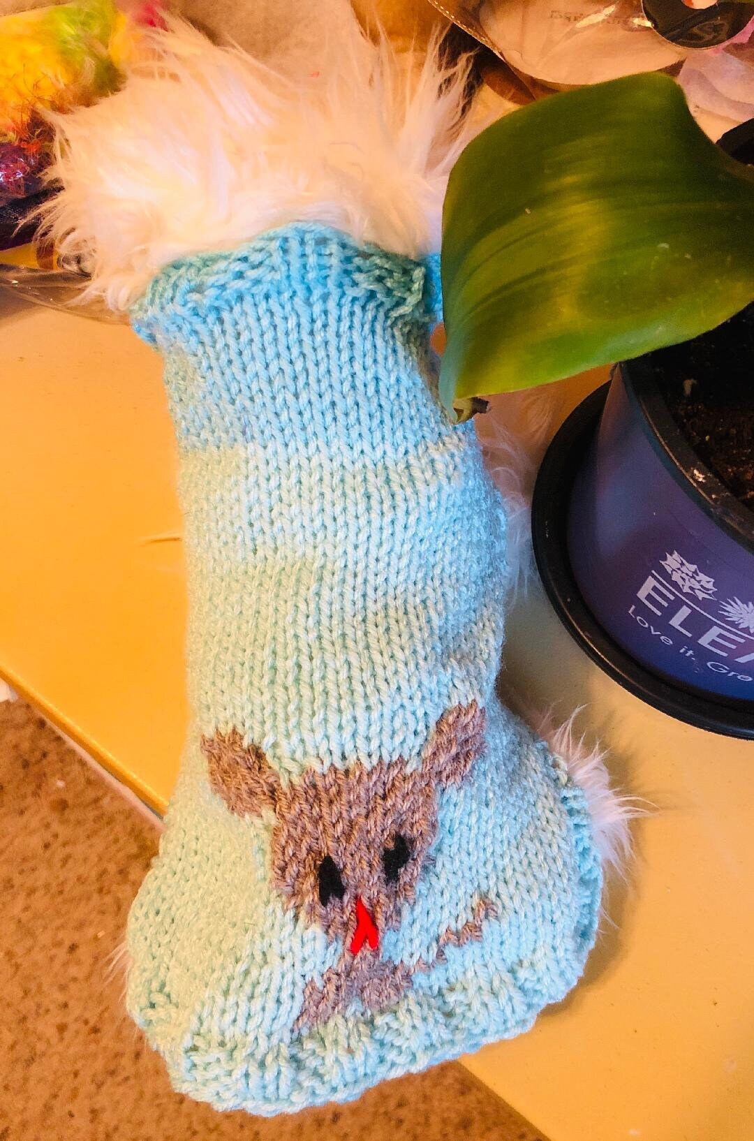 XS Hand Knit Small Dog Sweater Design Chihuahua Puppy Etsy