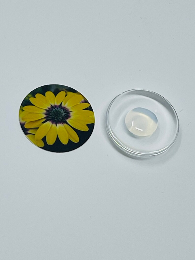 DIY Kit 20 Kit 25mm Bezels Glass Domes Etsy