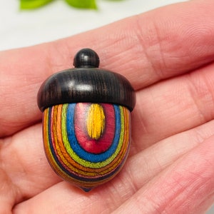 May include: A wooden acorn pendant with a rainbow design. The acorn is painted with stripes of red, orange, yellow, green, blue, and purple. The top of the acorn is black.