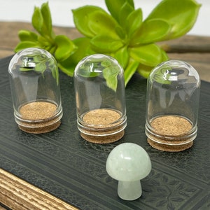 May include: Three small glass cloches with cork bases sit on a dark surface, alongside a small, light green mushroom figurine. A green succulent plant is in the background. The cloches are clear and dome-shaped.