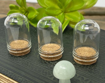 5 Clear Glass Jar Cloches Cork Terrarium Bottles Dome Apothecary Globe Column 36x22mm mini Miniature Glass Dome Bottles