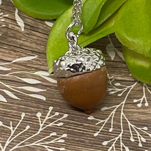 1 Real Acorn Nut Pendant with Stainless Steel Necklace - Acorn Gift for her - Jewerly