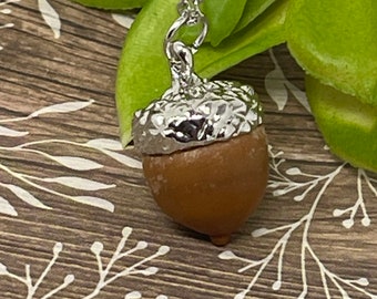 1 Real Acorn Nut Pendant with Stainless Steel Necklace - Acorn Gift for her - Jewerly