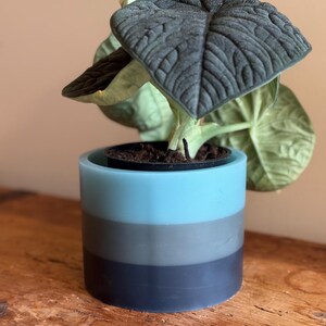 Slate blue gradient planter