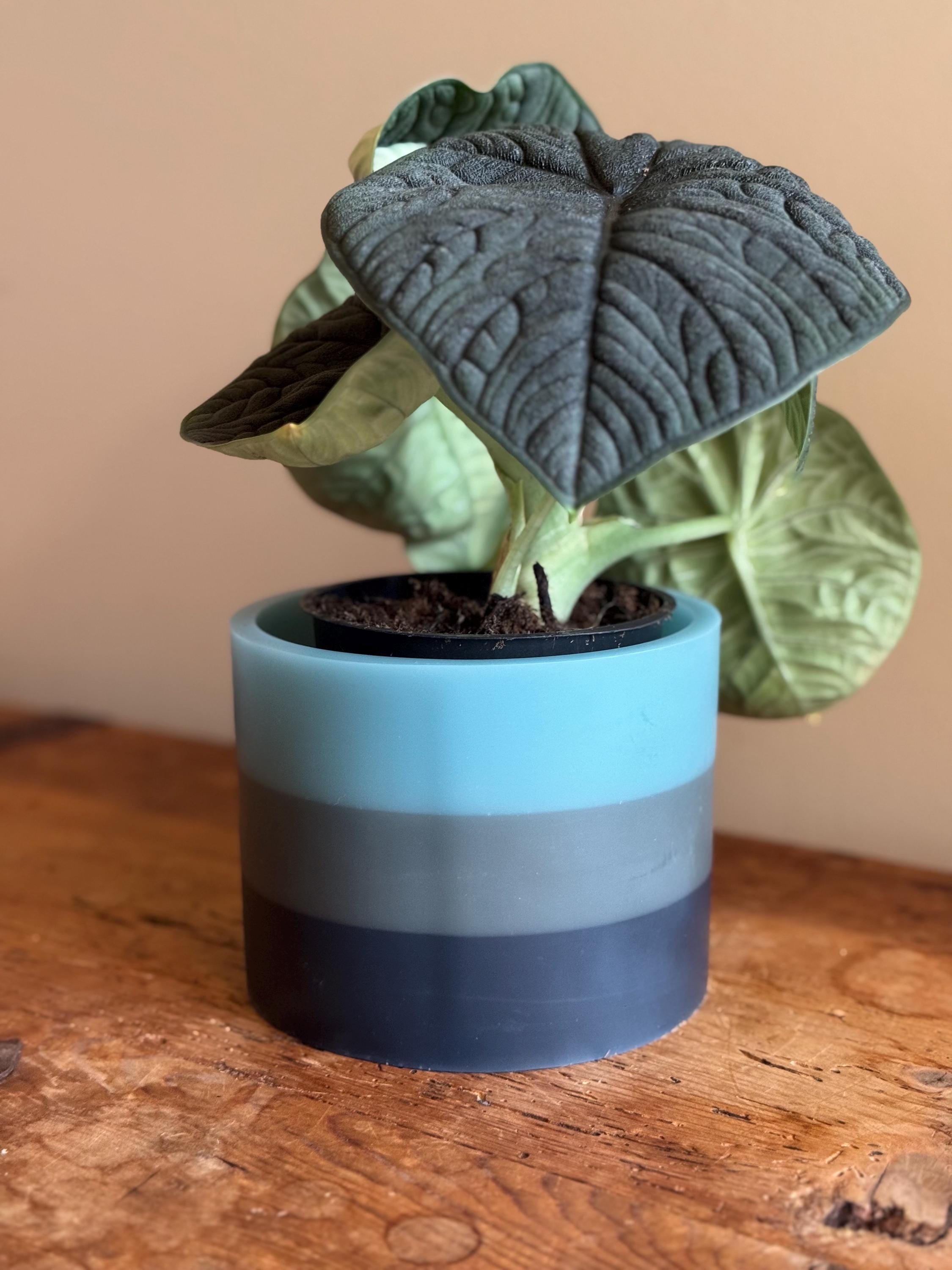 Slate Blue Gradient Planter - Etsy
