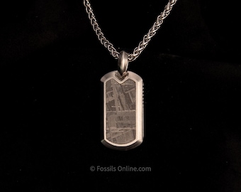 May include: A silver-toned dog tag pendant necklace with a patterned stone inlay. The pendant hangs from a matching chain against a black background. The stone has a unique, textured appearance. The necklace is a piece of jewelry.