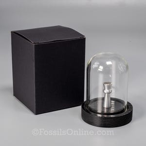 Mini dôme de présentation en verre avec support magnétique - 3,25&quot; de haut
