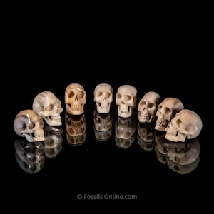 Family of Skulls Carved from Moose Antler