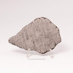 Muonionalusta Meteorite Slice 145gr