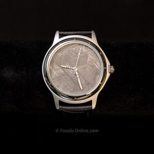 Muonionalusta Meteorite Watch