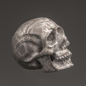 May include: A silver skull sculpture made from a meteorite. The surface of the skull is covered in a pattern of lines and grooves.