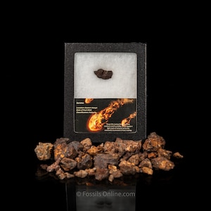Sericho-meteoritfragment i montre
