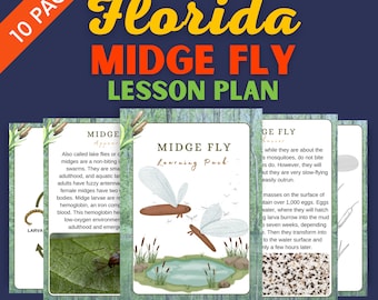 Florida Midge Fly Lesson Plan - Homeschool Materials - Insect Learning Pack Printable