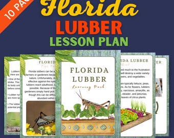 Florida Lubber Lesson Plan - Homeschool Materials - Insect Learning Pack Printable