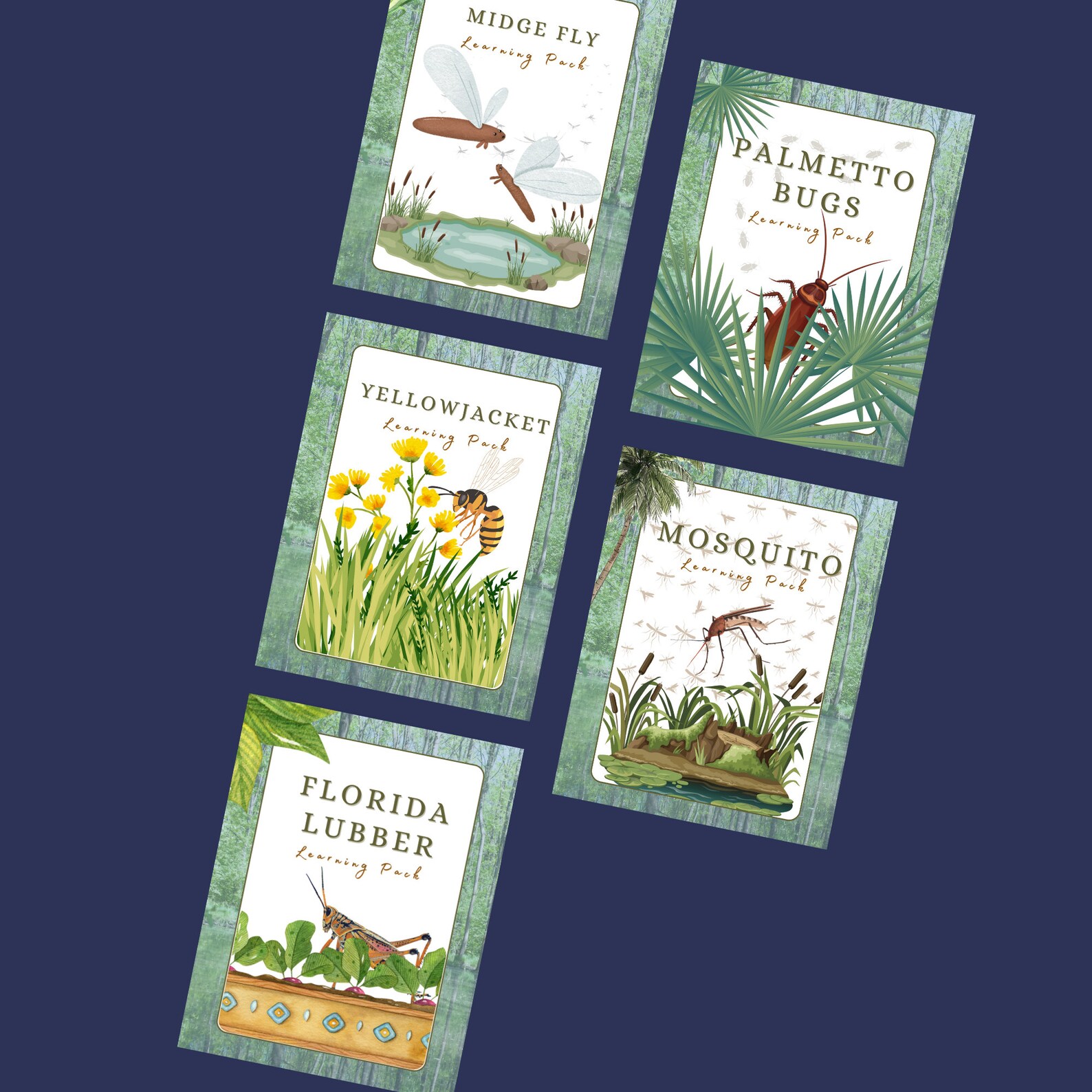 Florida State Insect Vector Florida Insect Lesson Bundle - Mosquitoes Lubbers Midges Yellowjackets ...