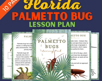 Florida Palmetto Bug Lesson Plan - Homeschool Materials - Cockroach Insect Learning Pack Printable