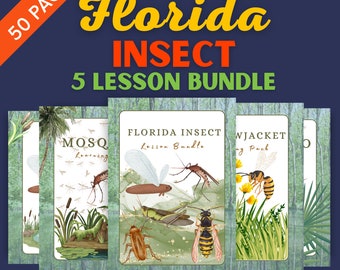 Florida Insect Lesson Bundle - Mosquitoes Lubbers Midges Yellowjackets Palmetto Bugs - Homeschool Materials - Learning Pack Printable