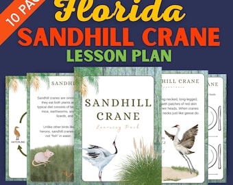 Florida Sandhill Crane Lesson Plan - Homeschool Materials - Bird Learning Pack