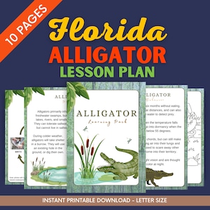Florida Alligator lesplan - Homeschool materialen - Reptielen leerpakket afdrukbaar