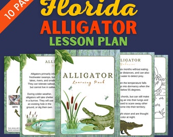 Florida Alligator Lesson Plan - Homeschool Materials - Reptile Learning Pack Printable