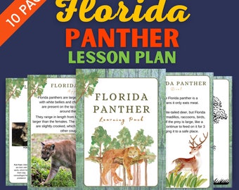 Florida Panther Lesson Plan - Homeschool Materials - Wild Cat Learning Pack Printable