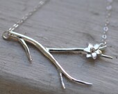 etsy springit etsy springit