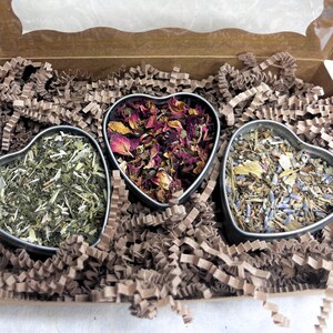 Kräutertee-Mischung Sampler