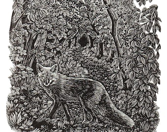 The Fox In The Wood