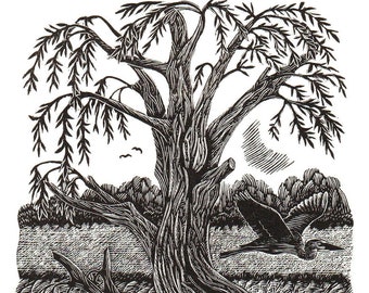 The Willow Tree