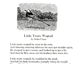 Little Trotty Wagtail by John Clare with two wood engravings.