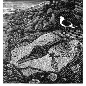 On Charmouth Beach