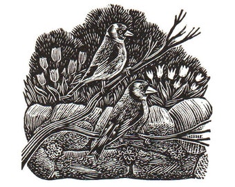 Goldfinches