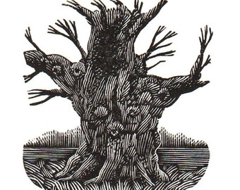 King Of The Lindens