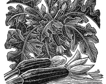 Courgettes