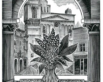 Lilies Of The Valley, Nimes