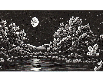Owl And The Moonlit Lake