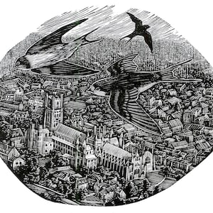 Swallows Over Ely