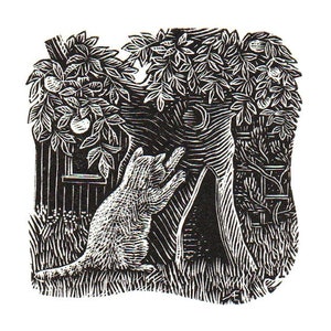 L'arbre préféré du chat