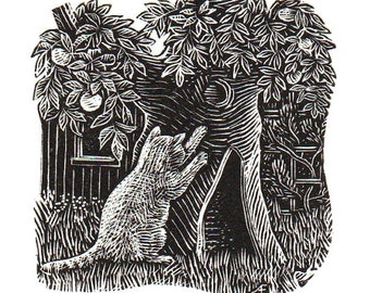 The Cat's Favourite Tree