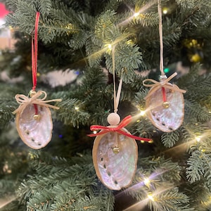 May include: Three iridescent white seashell ornaments with red and white ribbon and a small gold bell hanging from a Christmas tree.