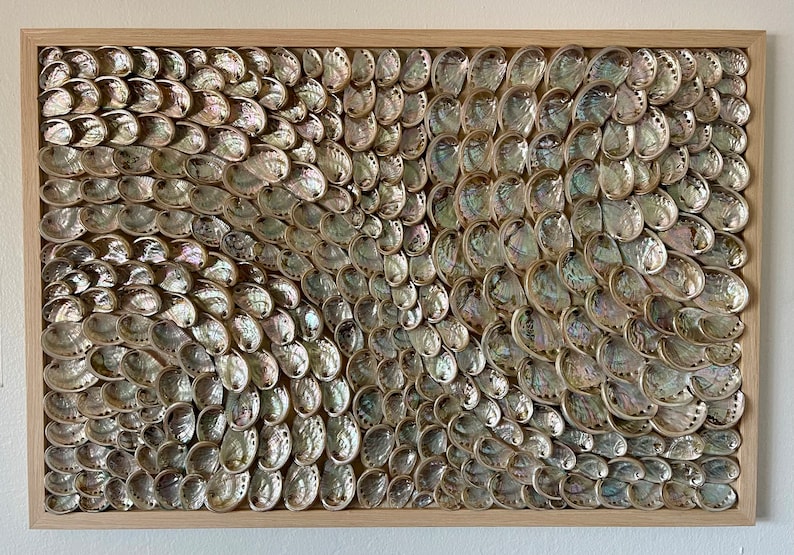 Red Abalone Art, Shell Wall Art, 3D Shell Art, Coastal Shell Art ...