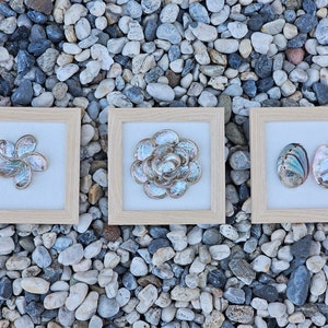 May include: Three framed wall art pieces featuring abalone shell designs. The first piece has a flower design, the second piece has a circular design, and the third piece has two abalone shells.