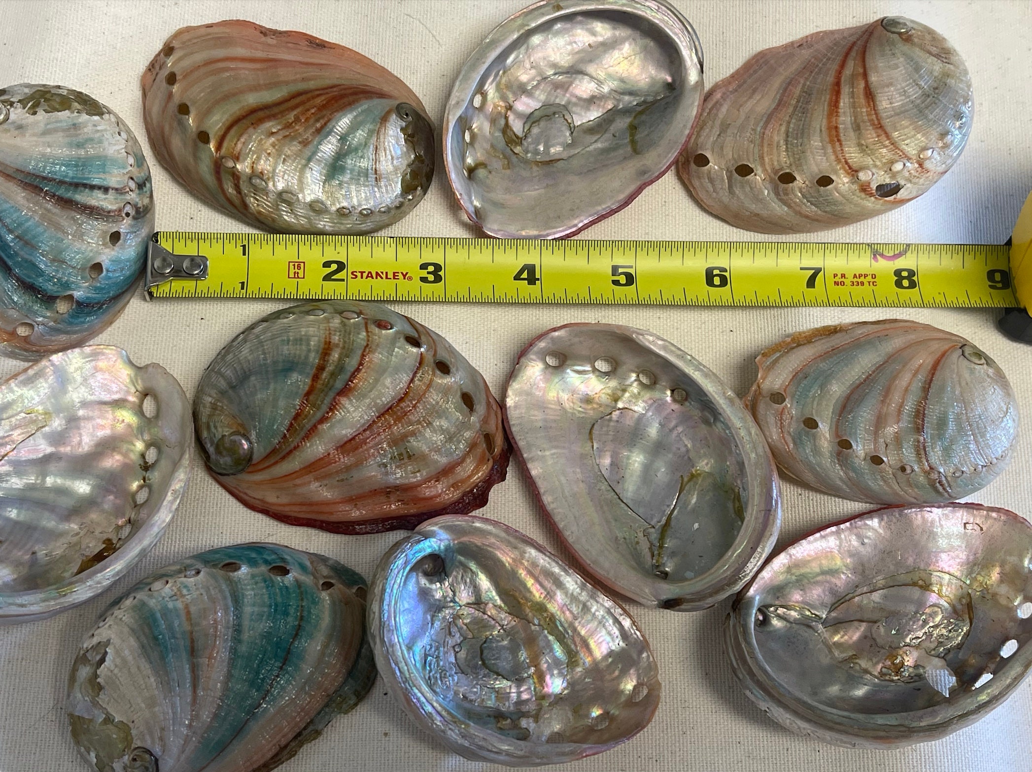 Gloss Finished Bulk Red Abalone Shells, Customizable, Coastal Decor ...