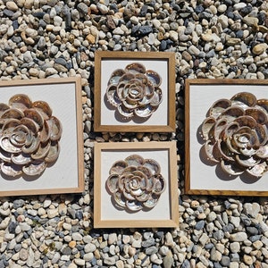 Abalone Shell Art, Abalone Shell Frame, Real Shell Art, Shell Flower Art, Coastal Shell Art, Beach House Shell Décor, Framed Shell Art