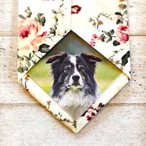 May include: A necktie featuring a portrait of a Border Collie dog. The tie has a floral pattern with pink and red roses on a cream background. The dog's portrait is in the center of the tie.