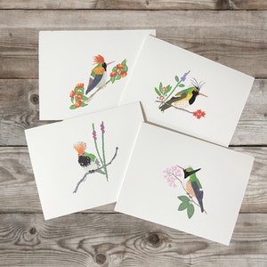 Hummingbird Notecard Set | Featuring 4 Original Coquette Hummingbird Drawings | 8 Blank Cards & Envelopes