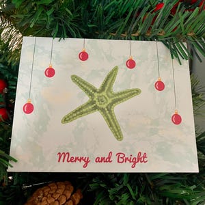 Starfish Christmas Card | Original Art | Holiday Greeting Card | Blank Inside | Also available as set | Colorful and Fun | Coastal Holiday
