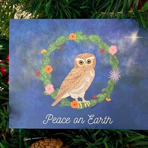 Eule Weihnachtskarten-Set | Elfe Eule und Kaktus Kranz | 8er-Set Weihnachtskarten | Original Kunst | Frieden auf Erden Gruß | Innen leer | Umschläge