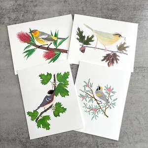 Bird Notecard Set of 8 | 4 Original Warbler Drawings | 8 Blank Cards & Envelopes | Bird Greeting Cards | Bird and Nature Lover Gift