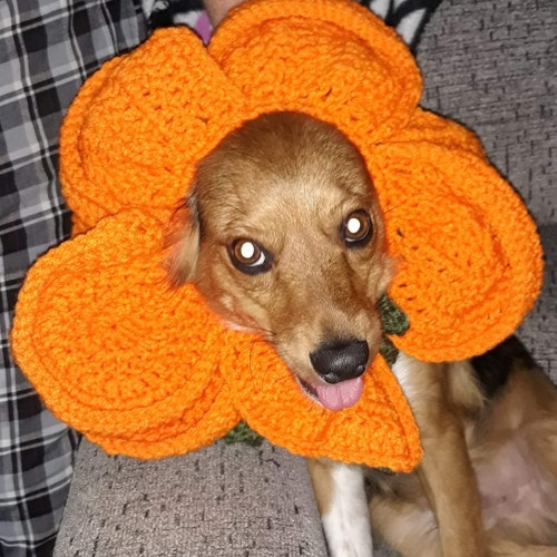 Crochet Flower Dog Collar Costume Clothing Halloween Etsy
